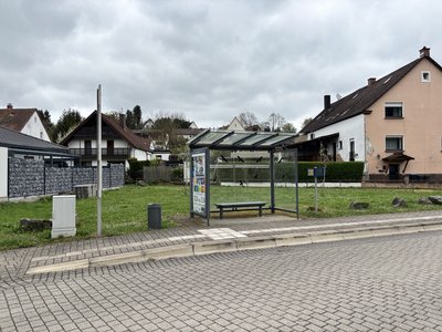 Diedelkopf