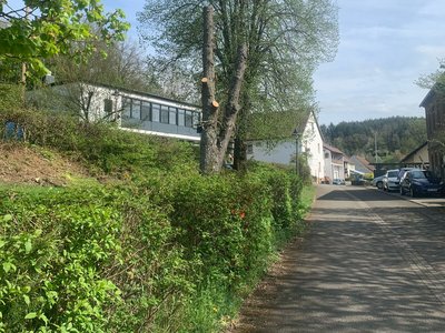 Niederalben